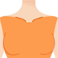 胸(乳輪周り含む)のイメージ画像